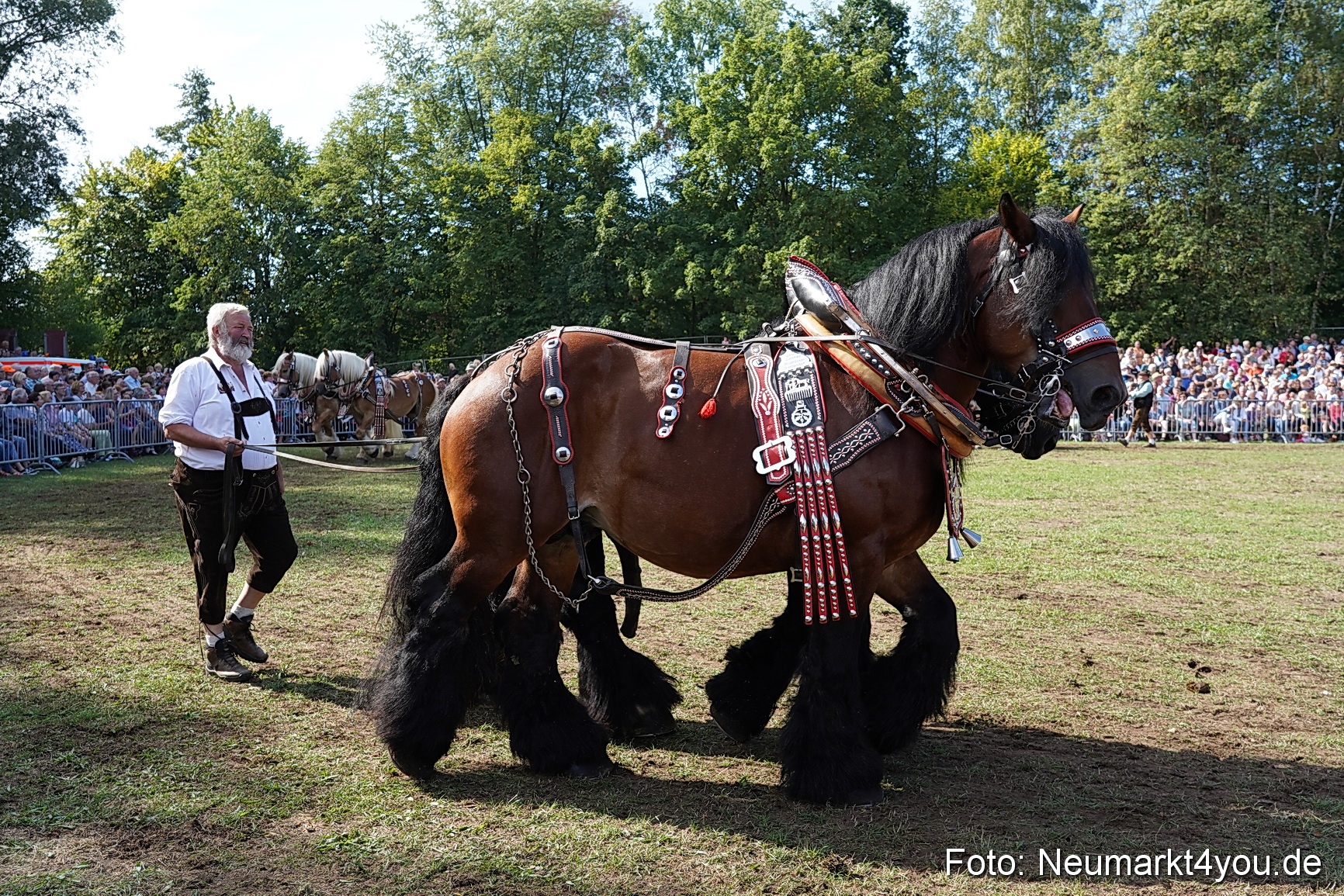 Pferde und Fohlenschau 2022 0186 